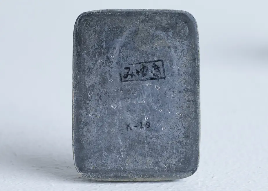 6263c2d19e11f66243736693