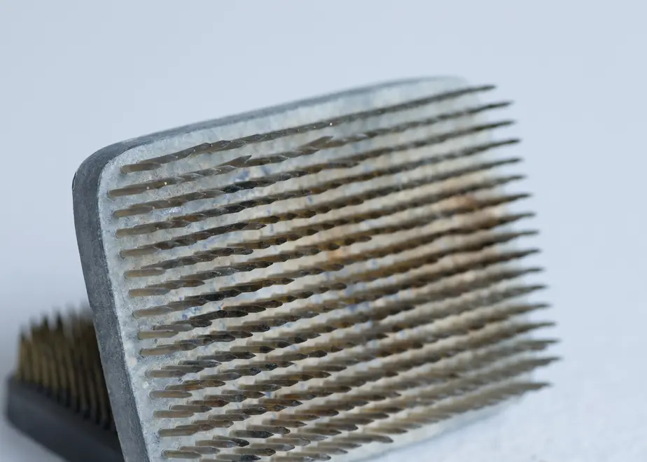 6263c2d19e11f66243736693