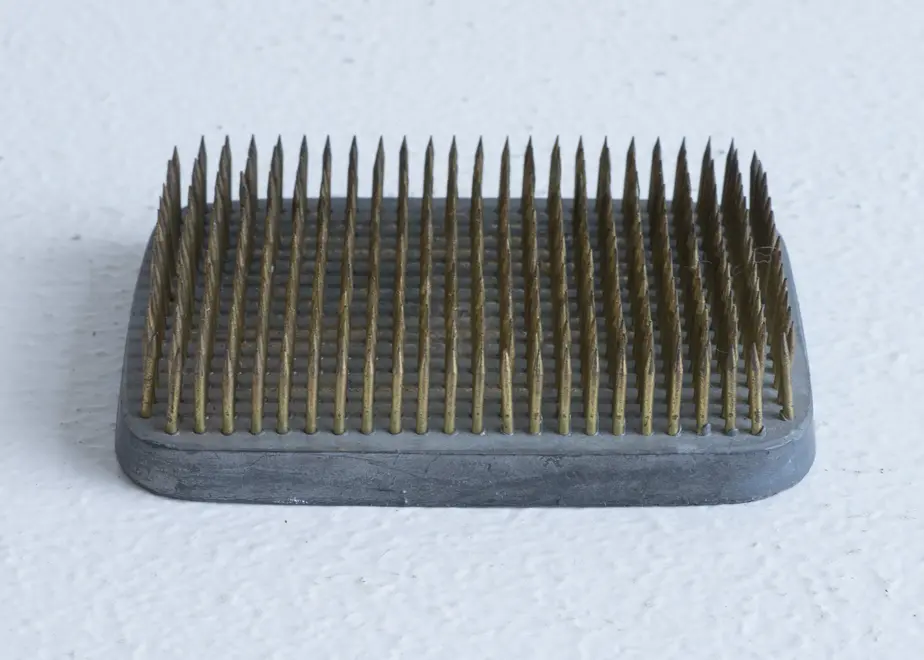 6263c2d19e11f66243736693