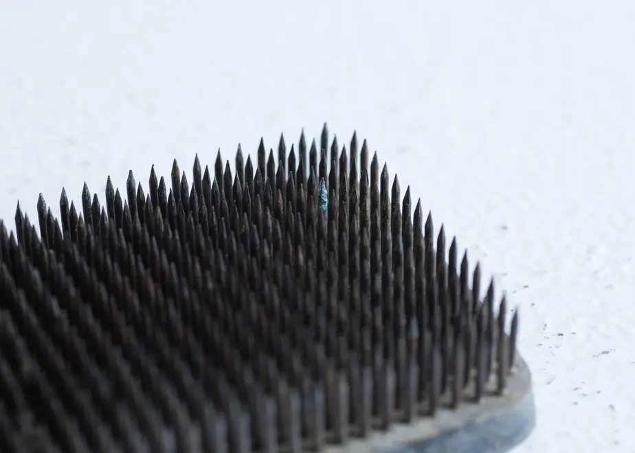 6263c2d19e11f66243736693