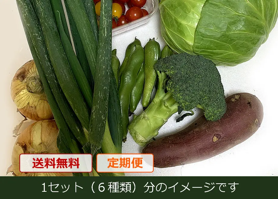5fd407afb00aa34a97711ed6