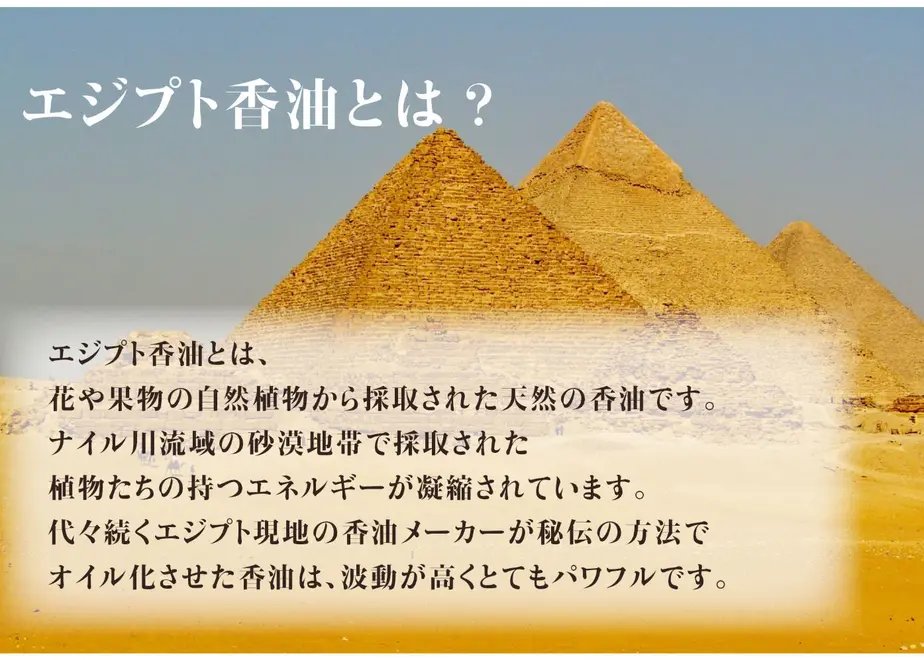 6007f837460690302c0d25b8