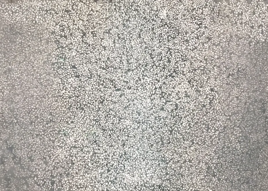 61408e6d47a534478220fc1b