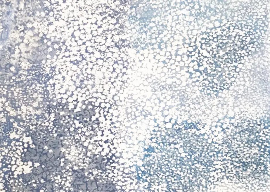 61408c75230557398911b606