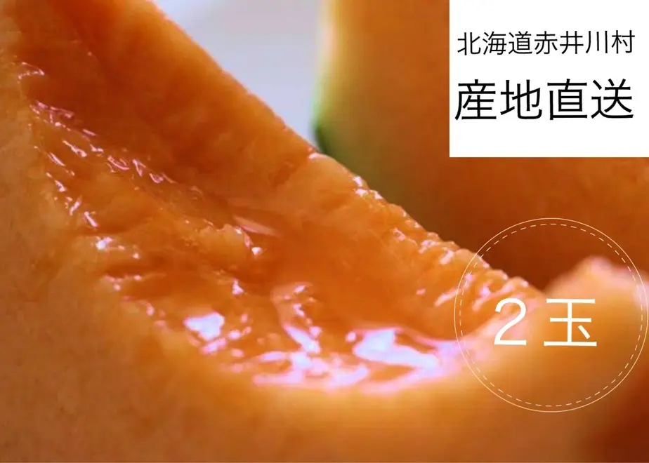 6098d8cbda019c1e000707c9