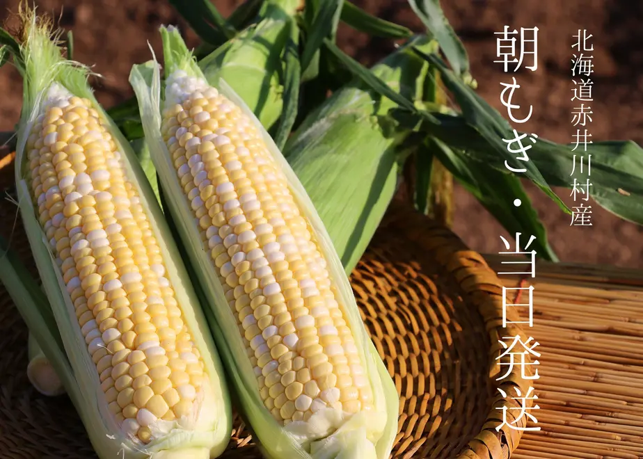 610d14498a4572556e84537a