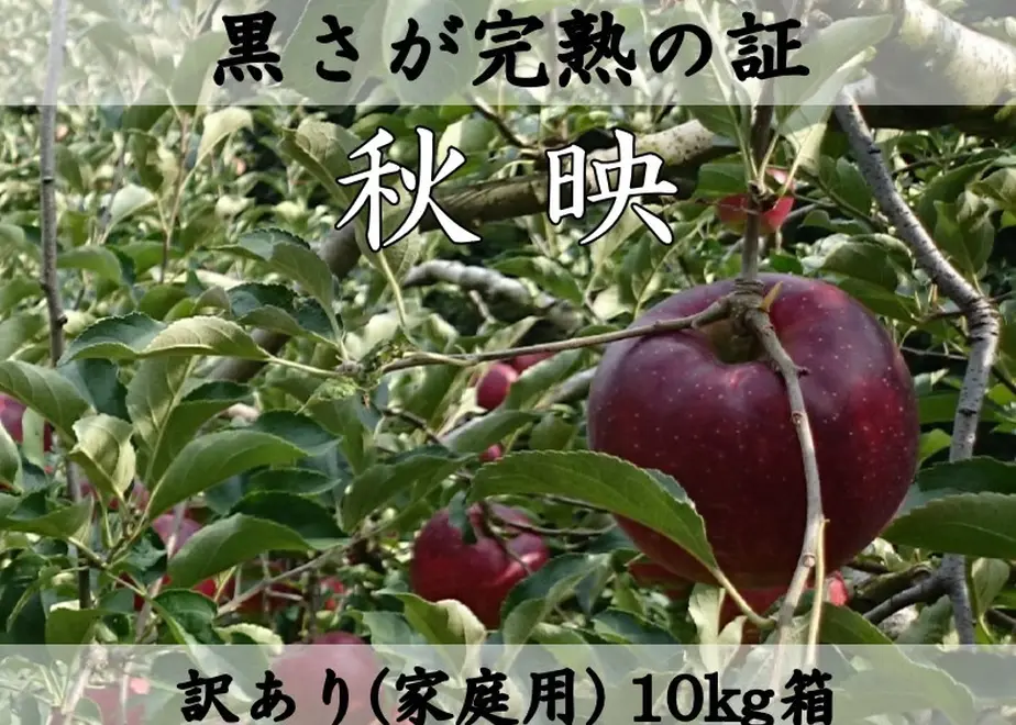 602d565c935fcc120284401b