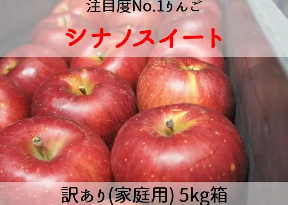 602d564d935fcc1202843fc4