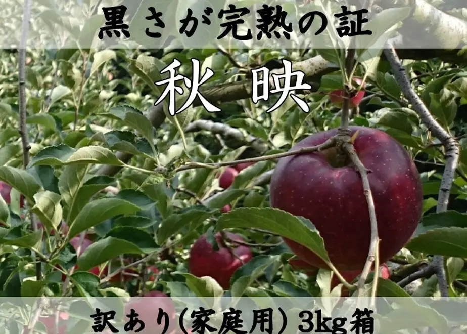 602d5660935fcc1202844032