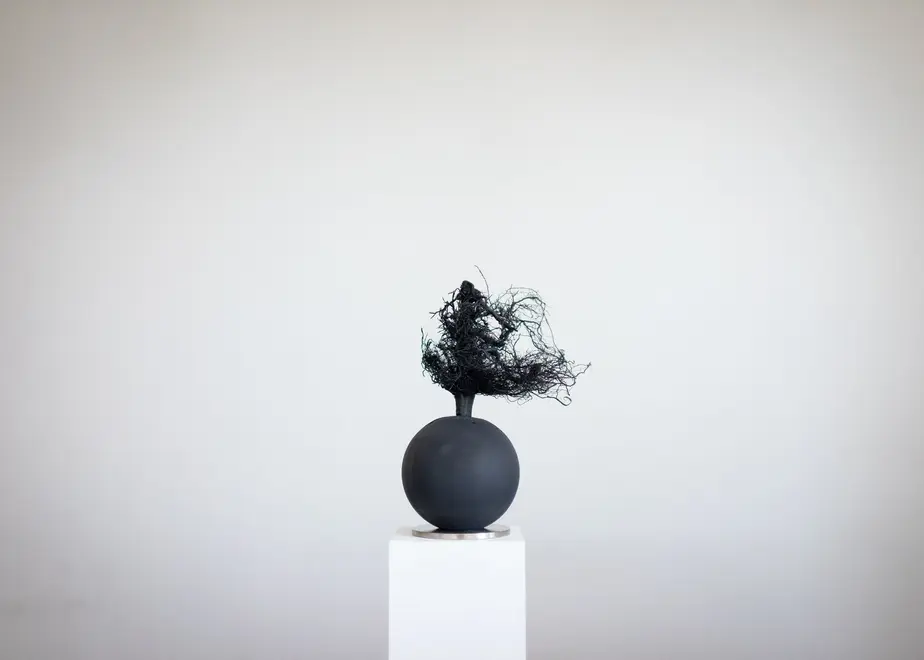 62f895055d05ec53246df3bf