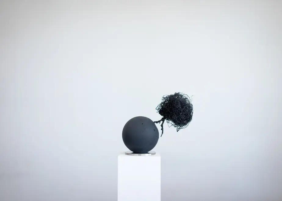62f8910a2144250f925a3f61