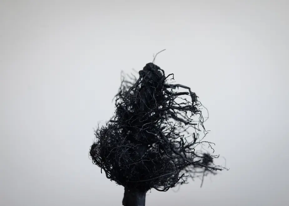 62f895055d05ec53246df3bf