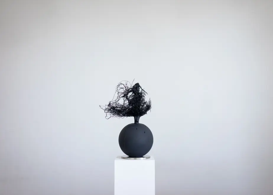 62f895055d05ec53246df3bf