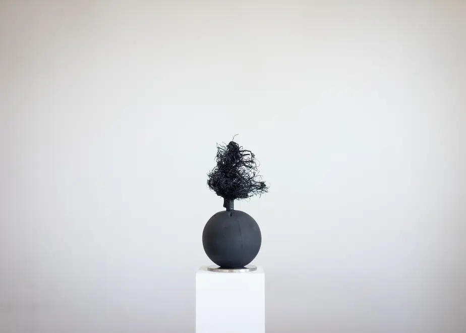 62f895055d05ec53246df3bf