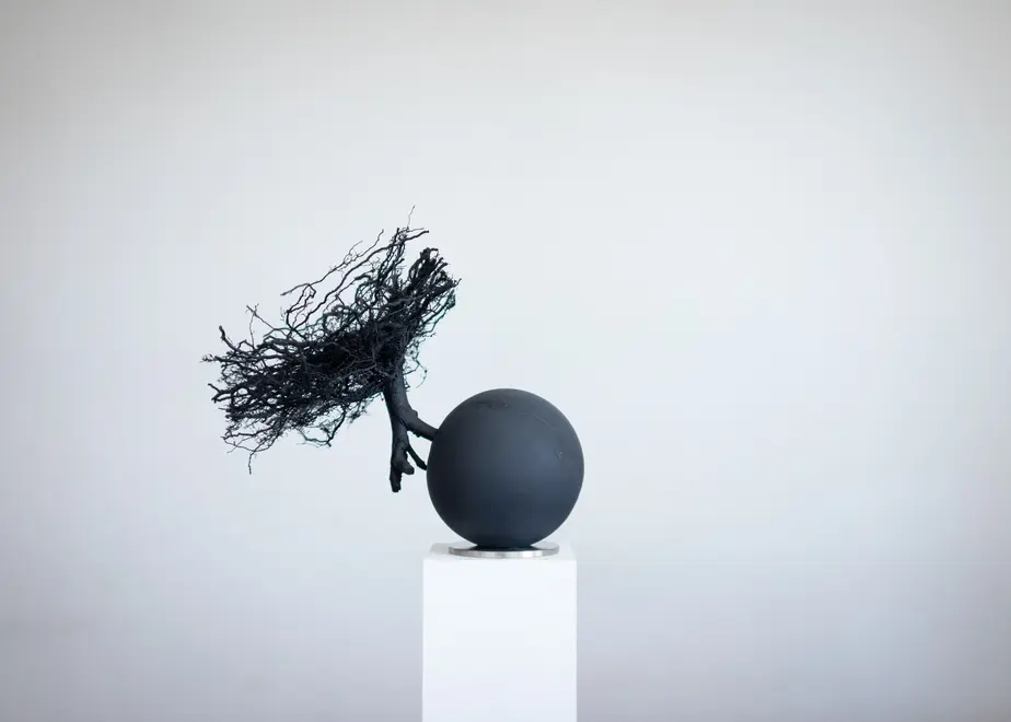 62f88fa21d6b1073ec0f03d5