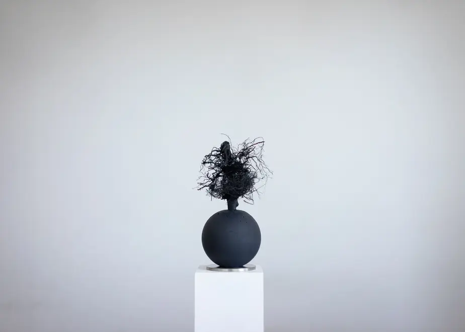 62f895055d05ec53246df3bf