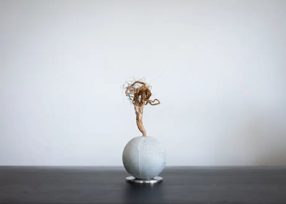 61f3985447a53412c02656e2