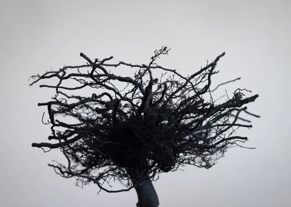 62f88fa21d6b1073ec0f03d5