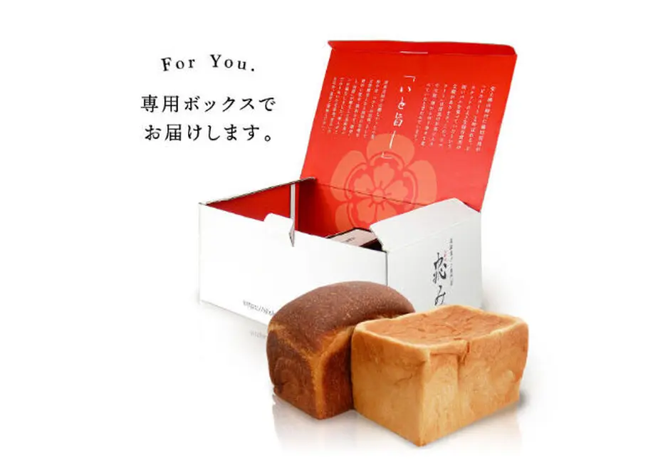 5fc5a832f0b1081151e7ace0