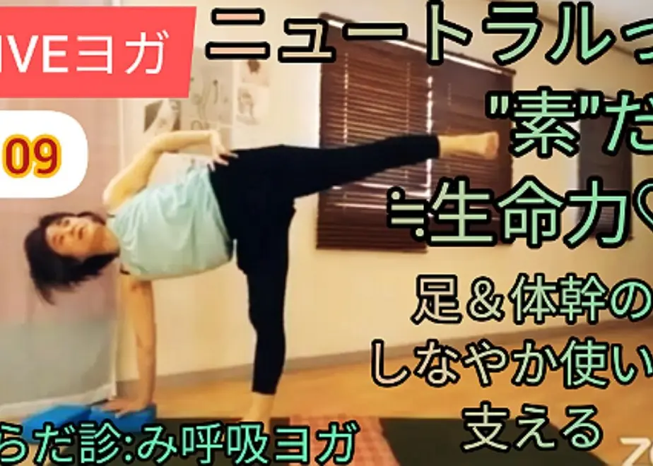 60b9e5d8a875535a756746c2