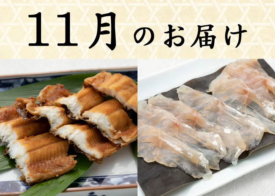5f55e60abc44dc77623a40ad