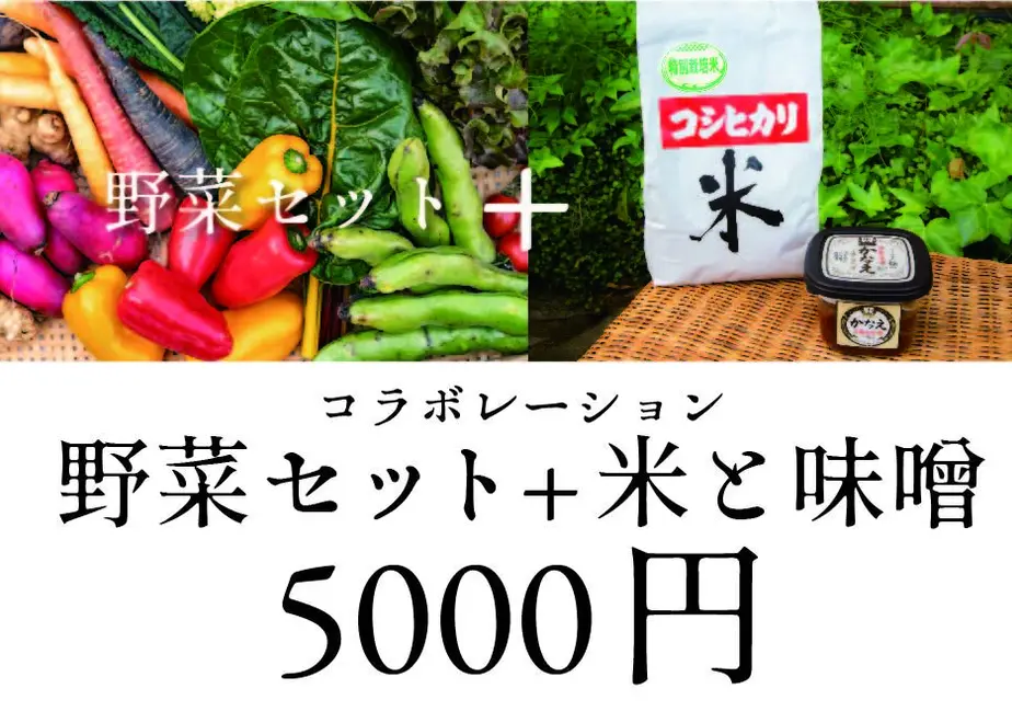 5eb7a807cee9ea133ade241e