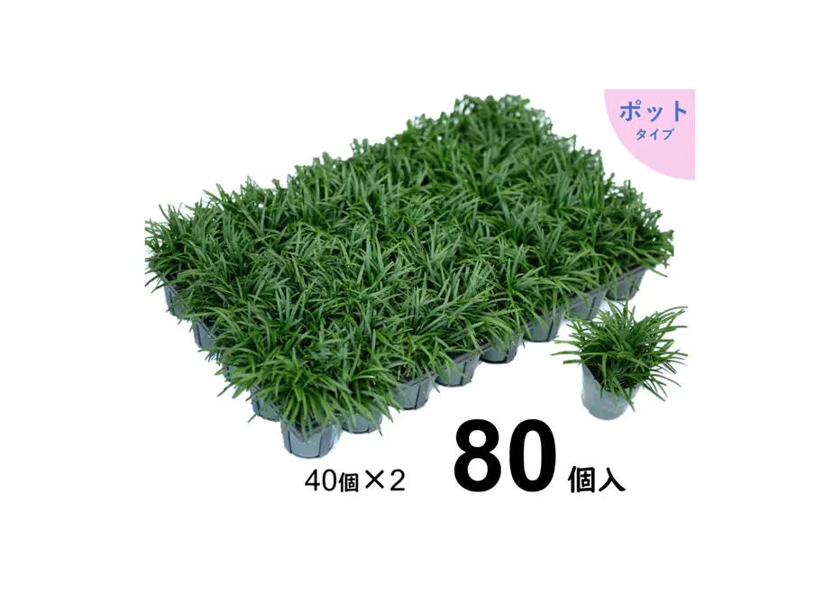 5ea4346d72b9116022a0d0e4