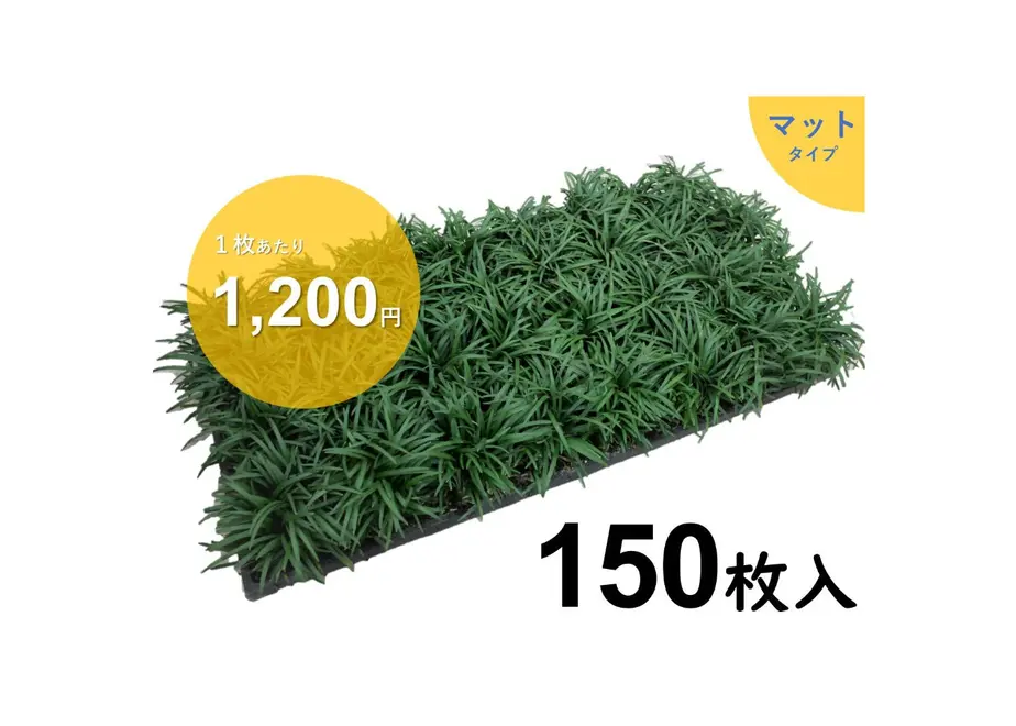 602f8bee6e84d55fb5e2efb4