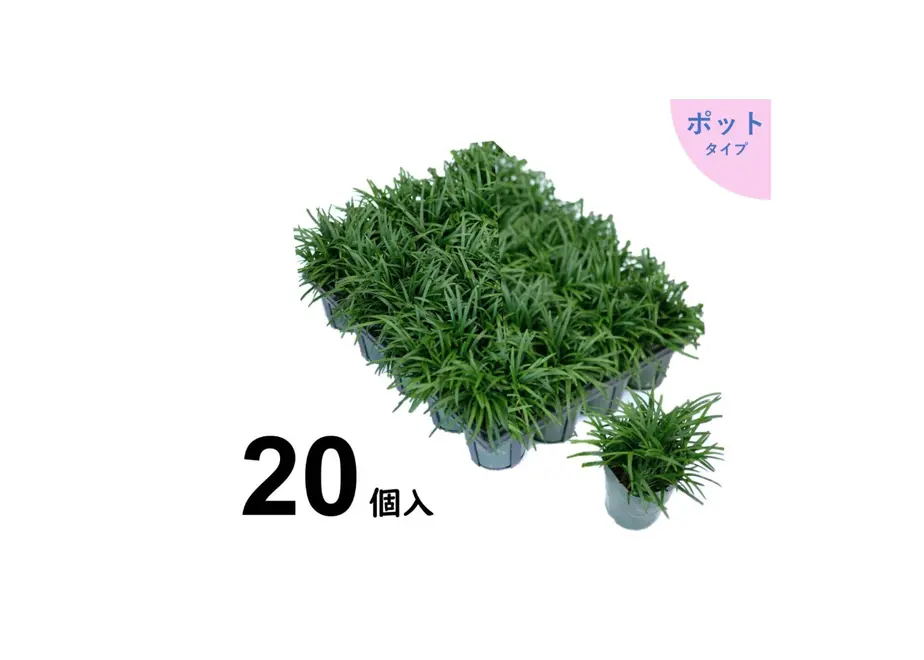 5e2462a3707cec5c008c0af3