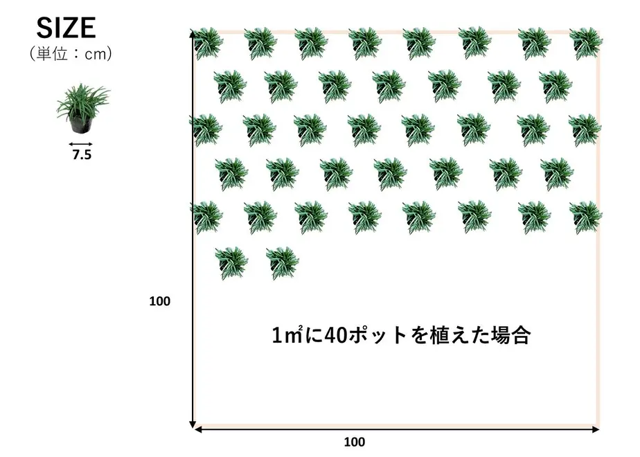 5e2462a3707cec5c008c0af3