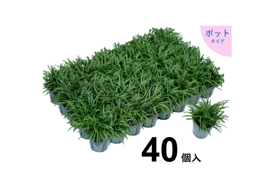 5e2461c4fa03d736ef9d987b