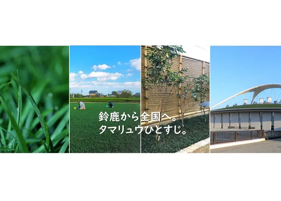 602f8b1b24386035958dbcbf