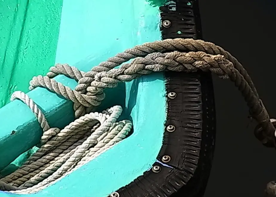 5ecfa79655fa036185c06cc2