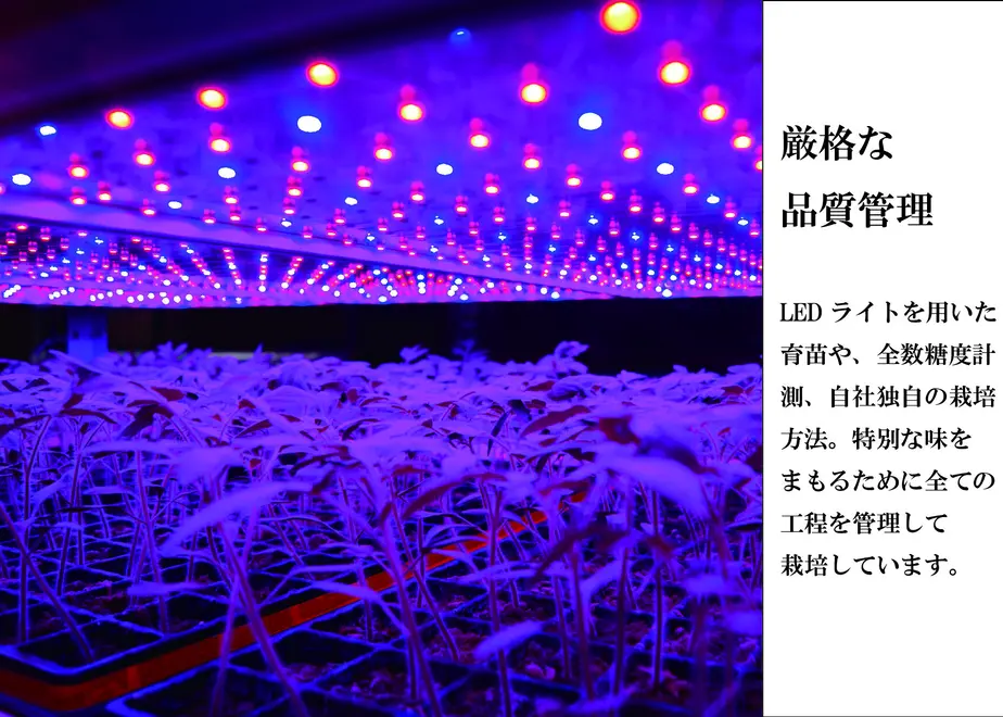 607fc652c9827a47481efcc7