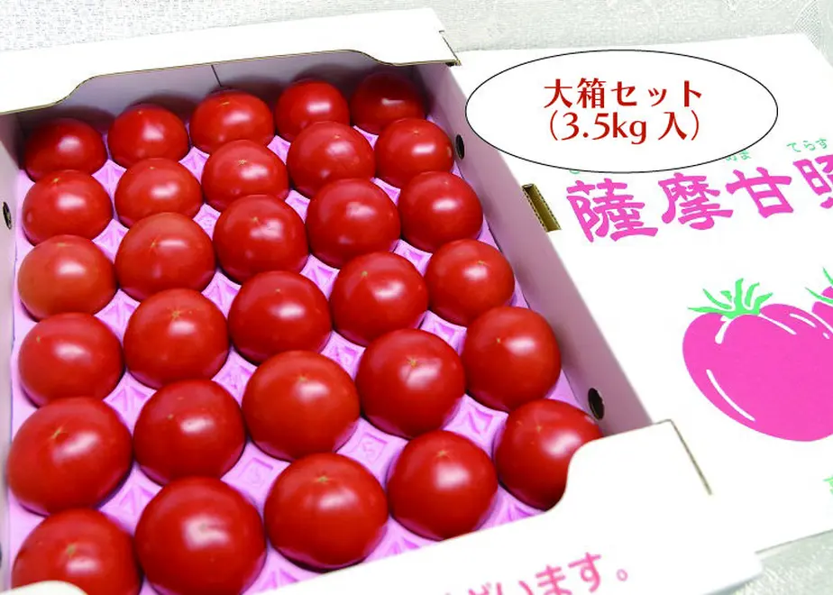 625506cd719e8e039cd829e1
