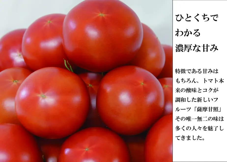 63730ad2f5197310b581fed0