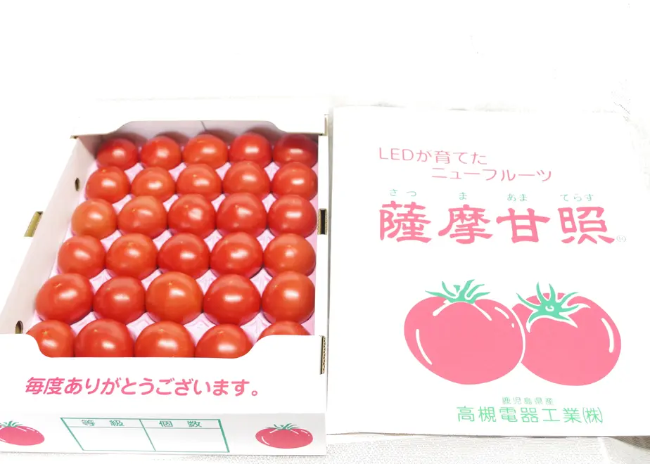 625506cd719e8e039cd829e1