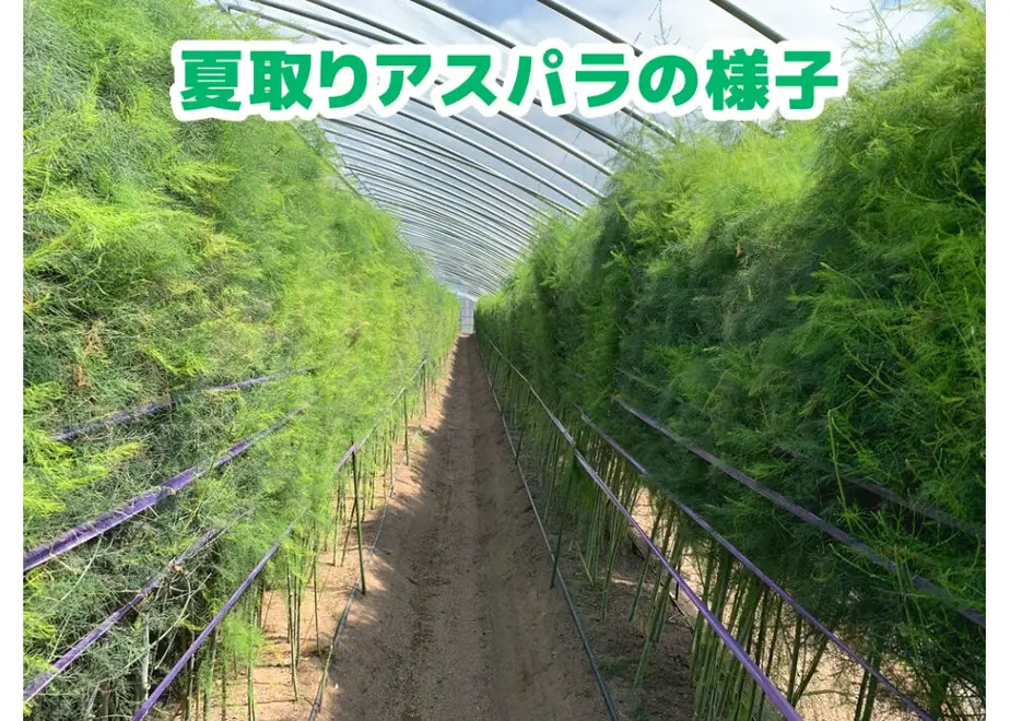 60793997d263f03c8405e2b1
