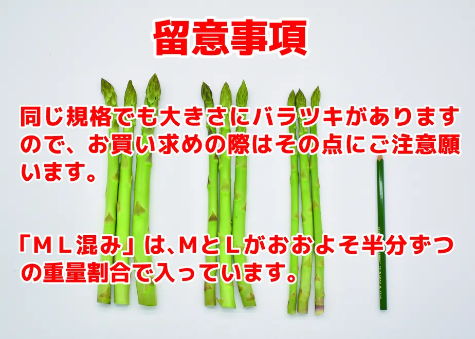 606d5f02d263f07bfd944b81