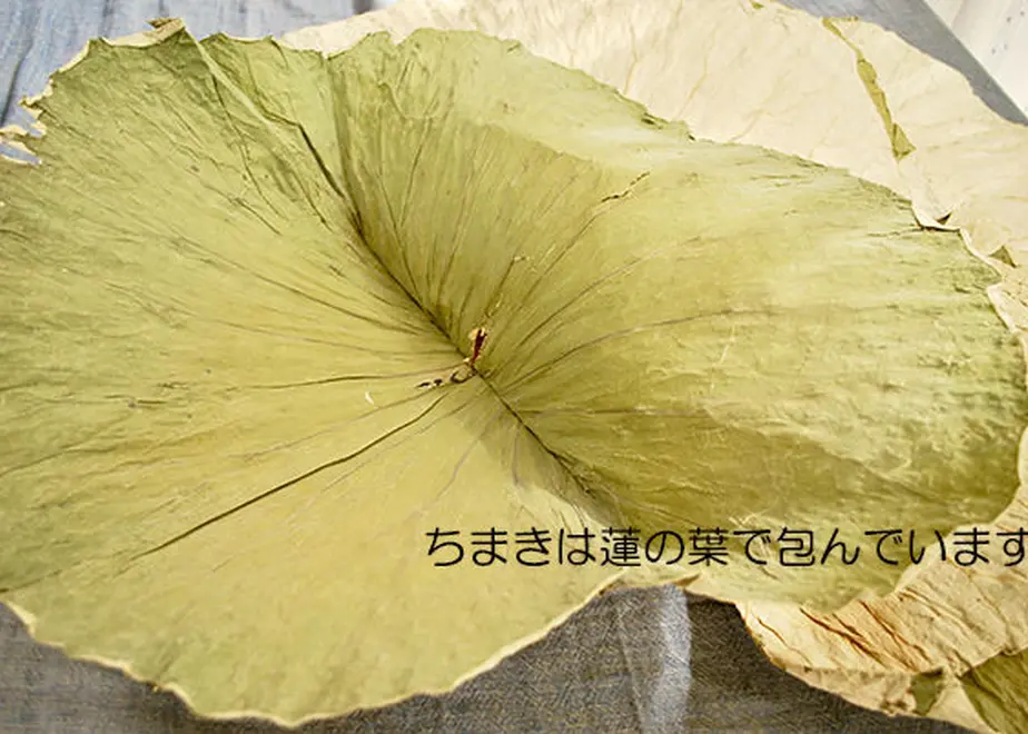 5db79f07ff78bd24e892cd58