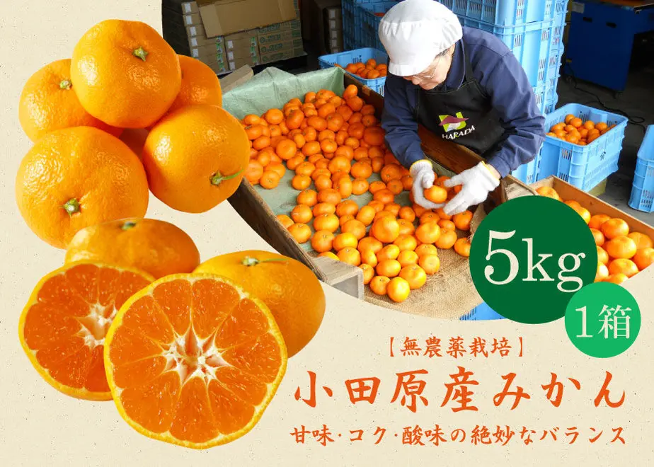 5e16f2c25b120c0456b46f45