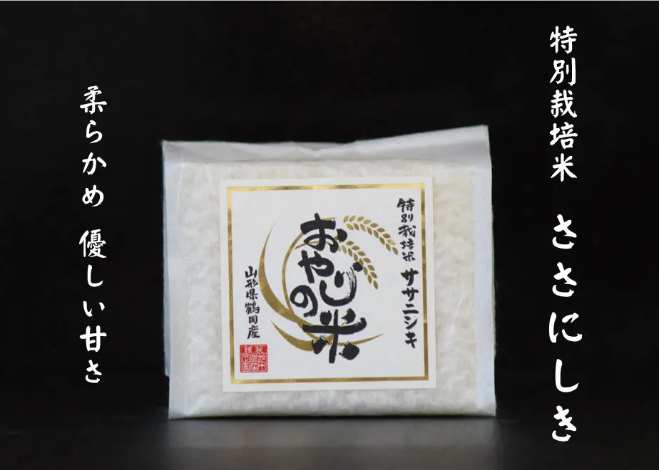 5e45246dc78a535c3955b74c