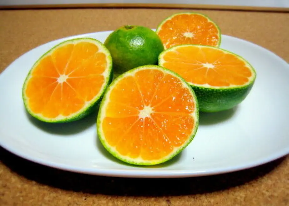 5f6597f43ae0f4458c69fce2