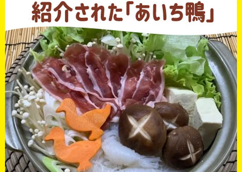 5f045798ec8fd371ad60158e
