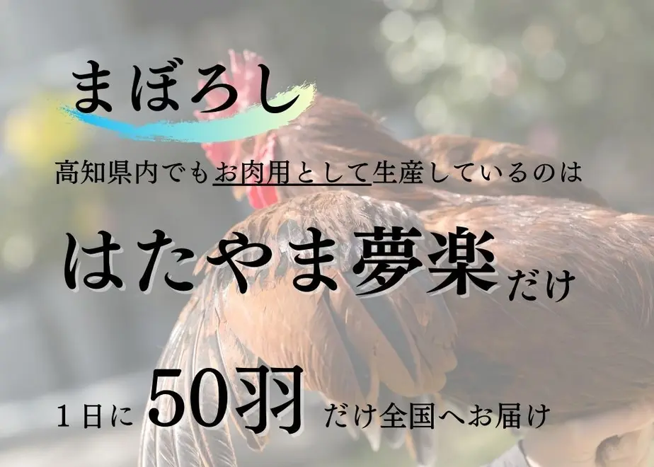 5ec4bb0f55fa036e946e940f