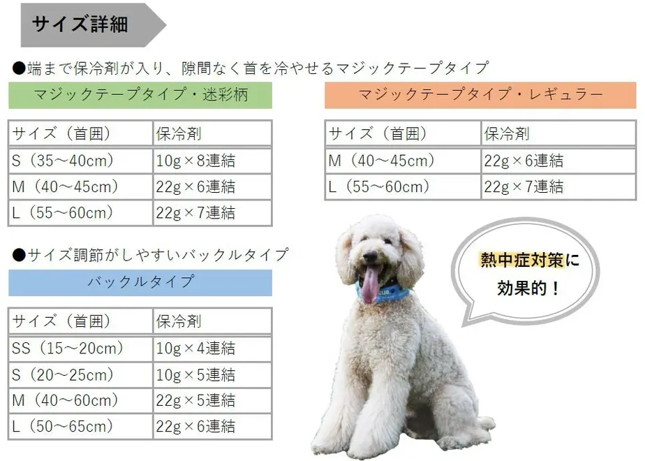 5d49497b66d86c51b1ad2b02