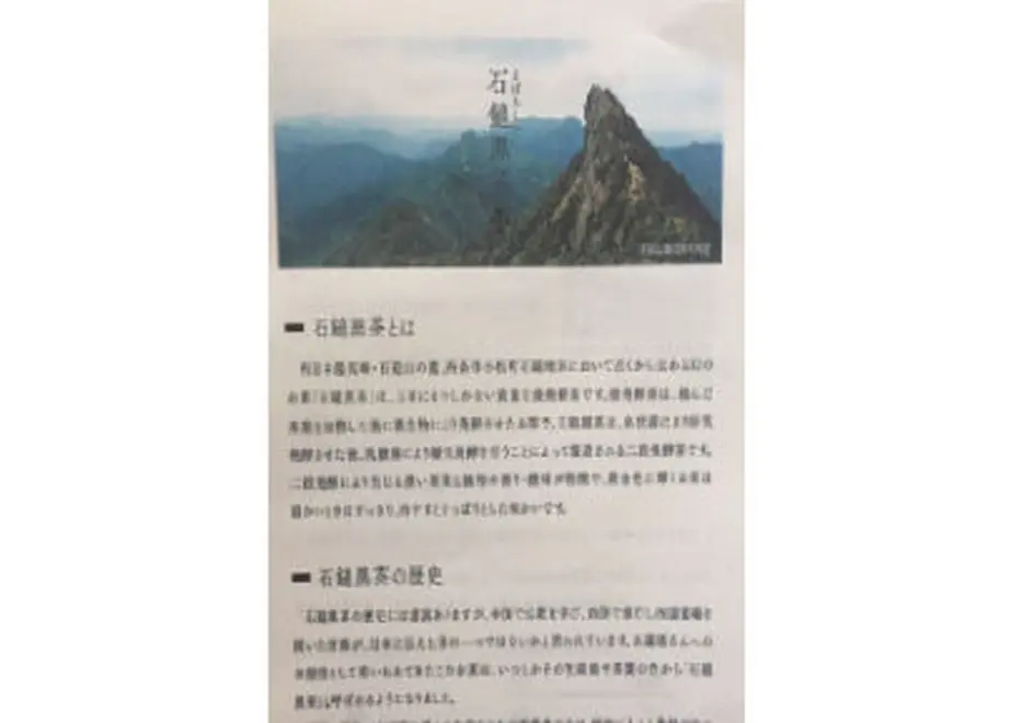 6039f157c19c451af1bf4034