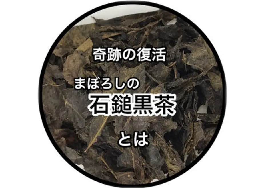 6039f157c19c451af1bf4034