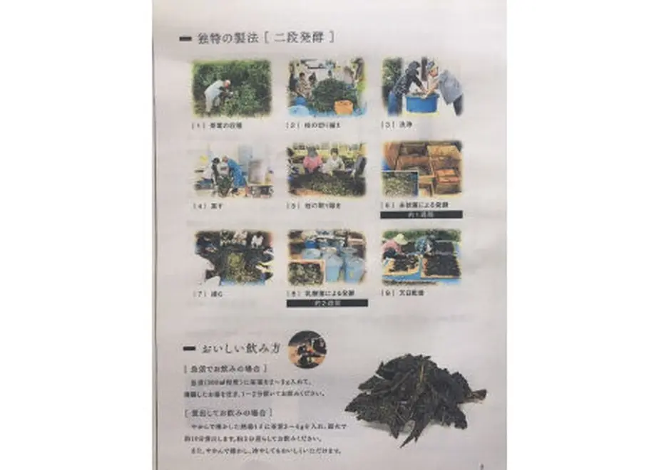 6039f157c19c451af1bf4034