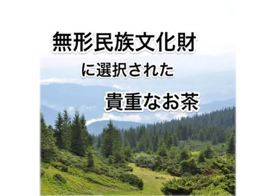 6039f157c19c451af1bf4034